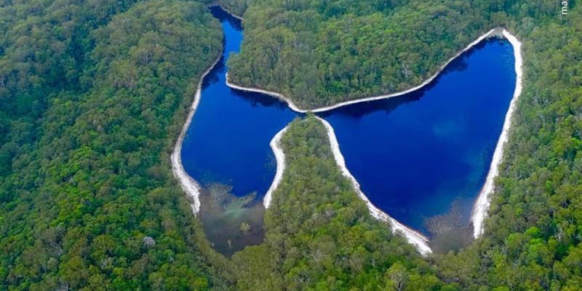 پول های پوسیده، نتیجه خروج از تعادل