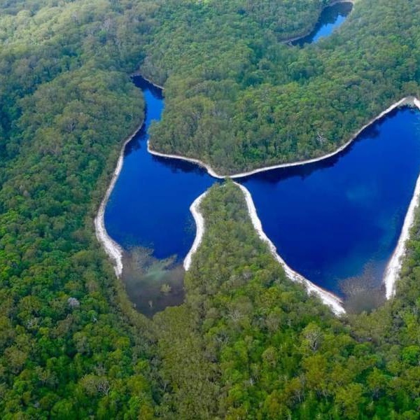 پول های پوسیده، نتیجه خروج از تعادل