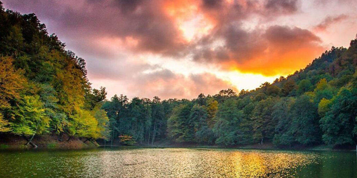 در ناامیدی بسی پرسپولیس هست!