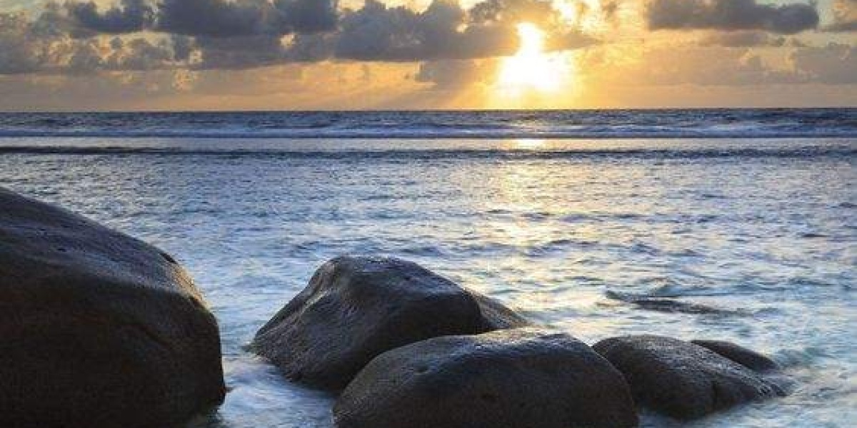 دورهمی خانوادگی غذایی!