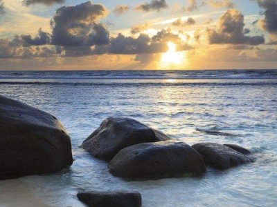 دورهمی خانوادگی غذایی!