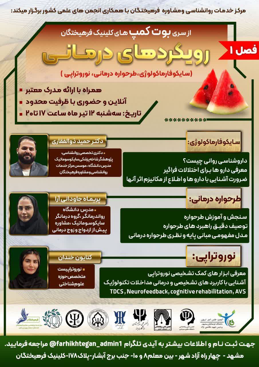 بوت کمپ رویکرد های درمانی 